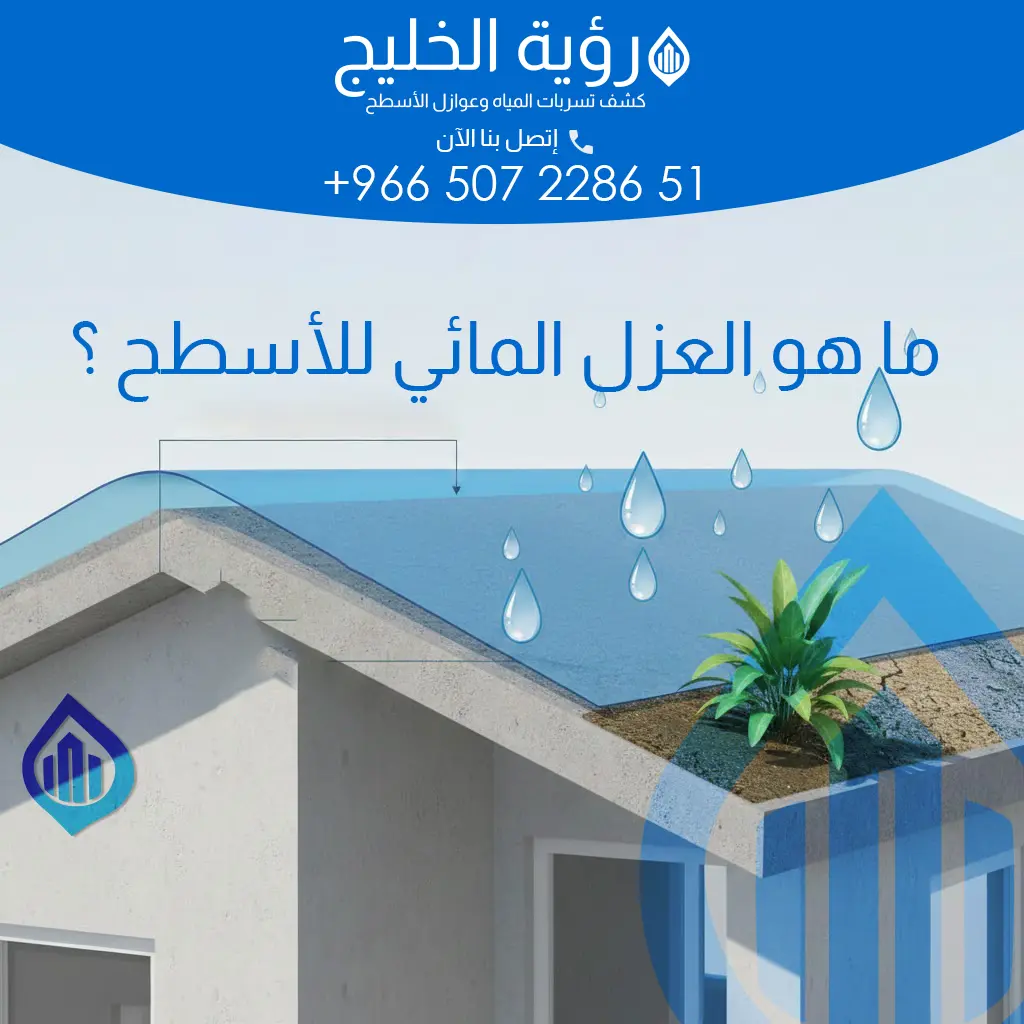 الصورة الرئيسية للفقرة